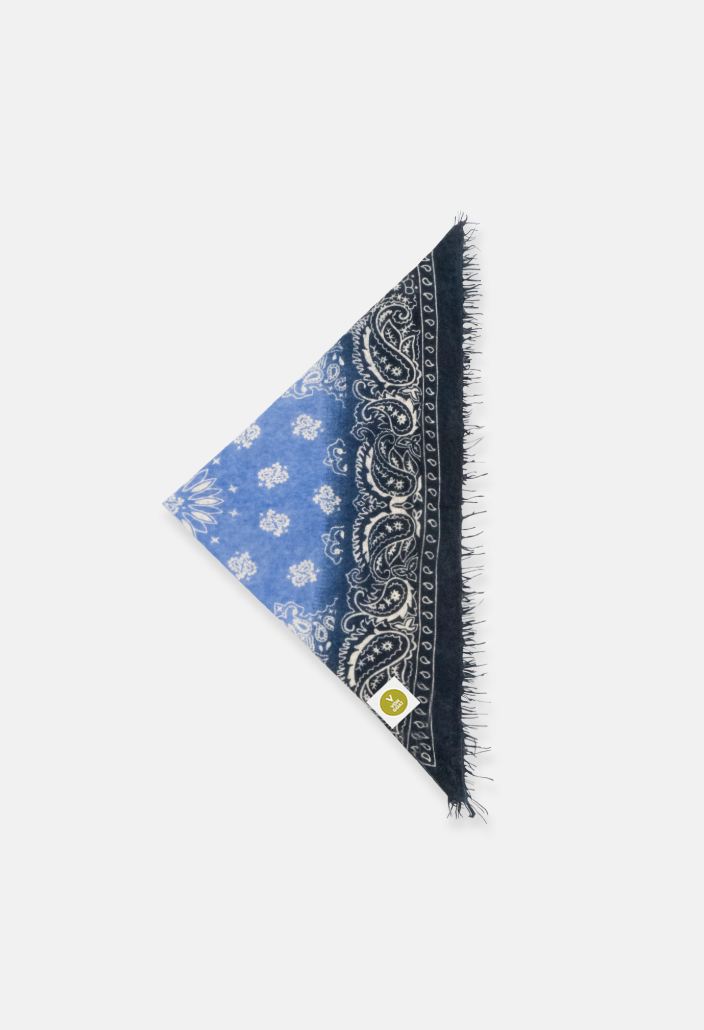 Bandana Paisley AH with Fringes