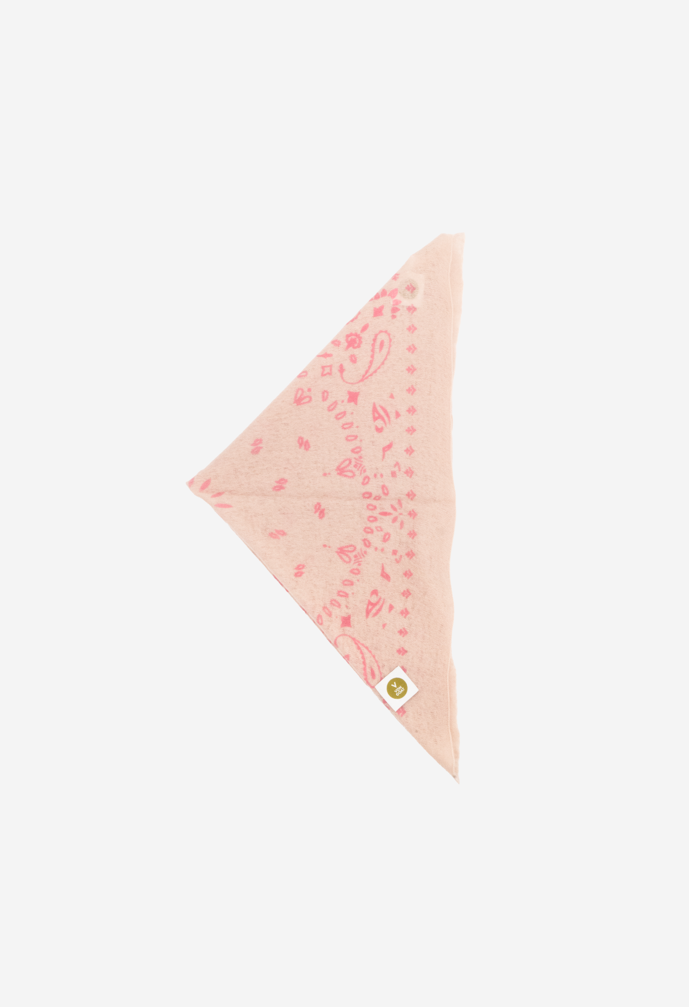 Bandana Paisley Q