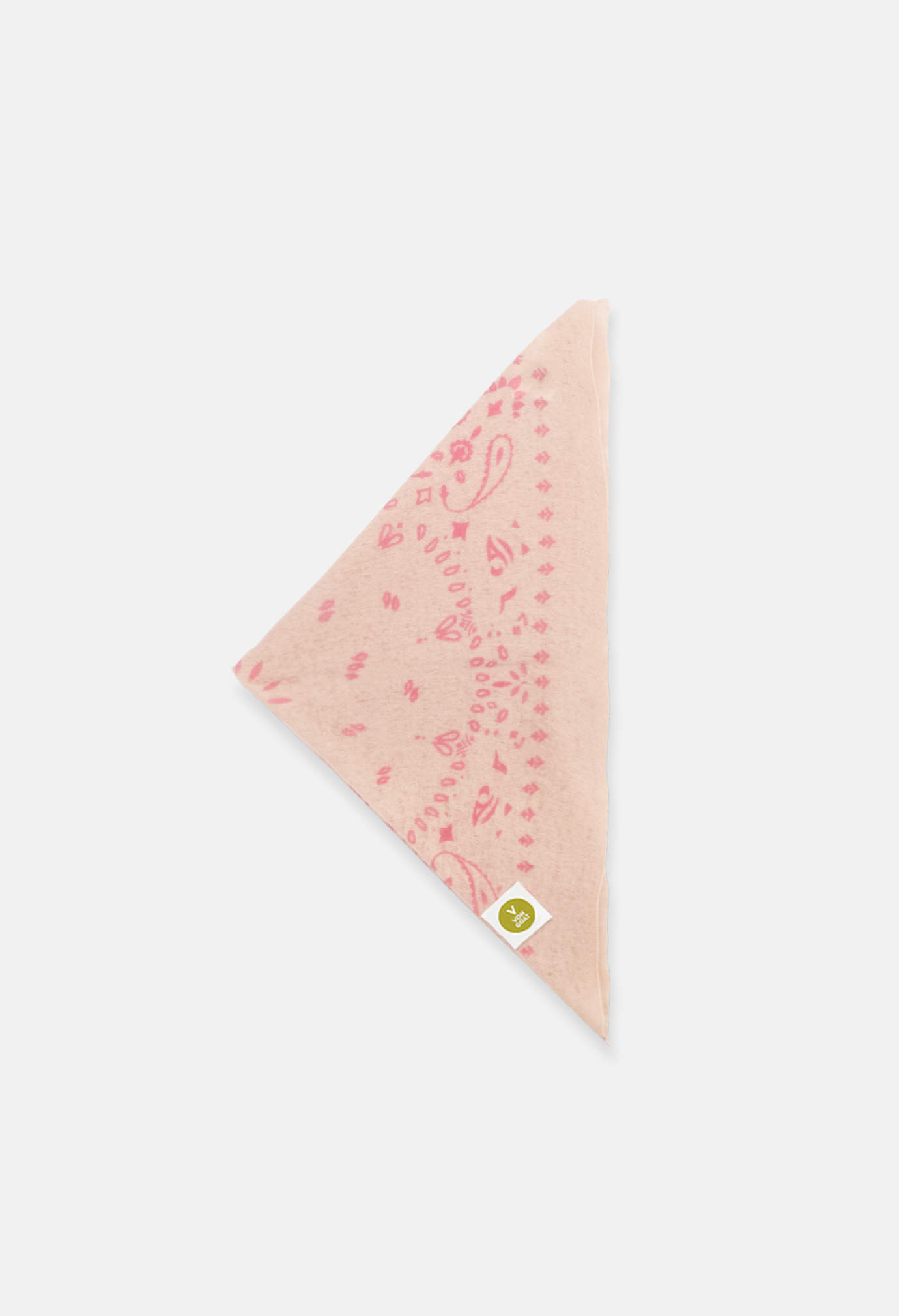 Bandana Paisley Q