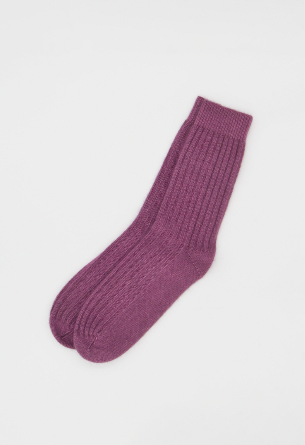 SOCKS ORCHID