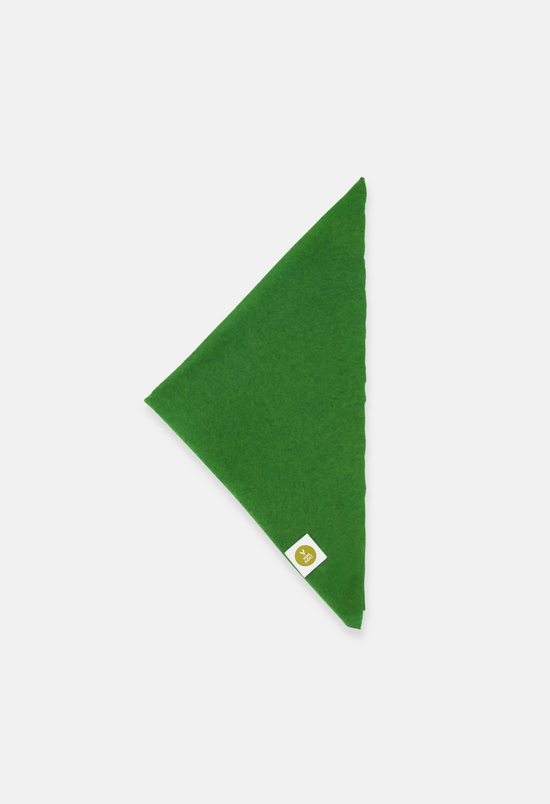 BANDANA SALTED LIME