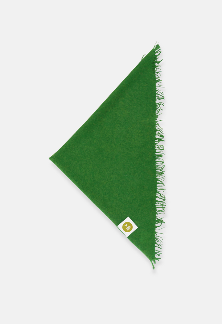 BANDANA SALTED LIME XL with fringes