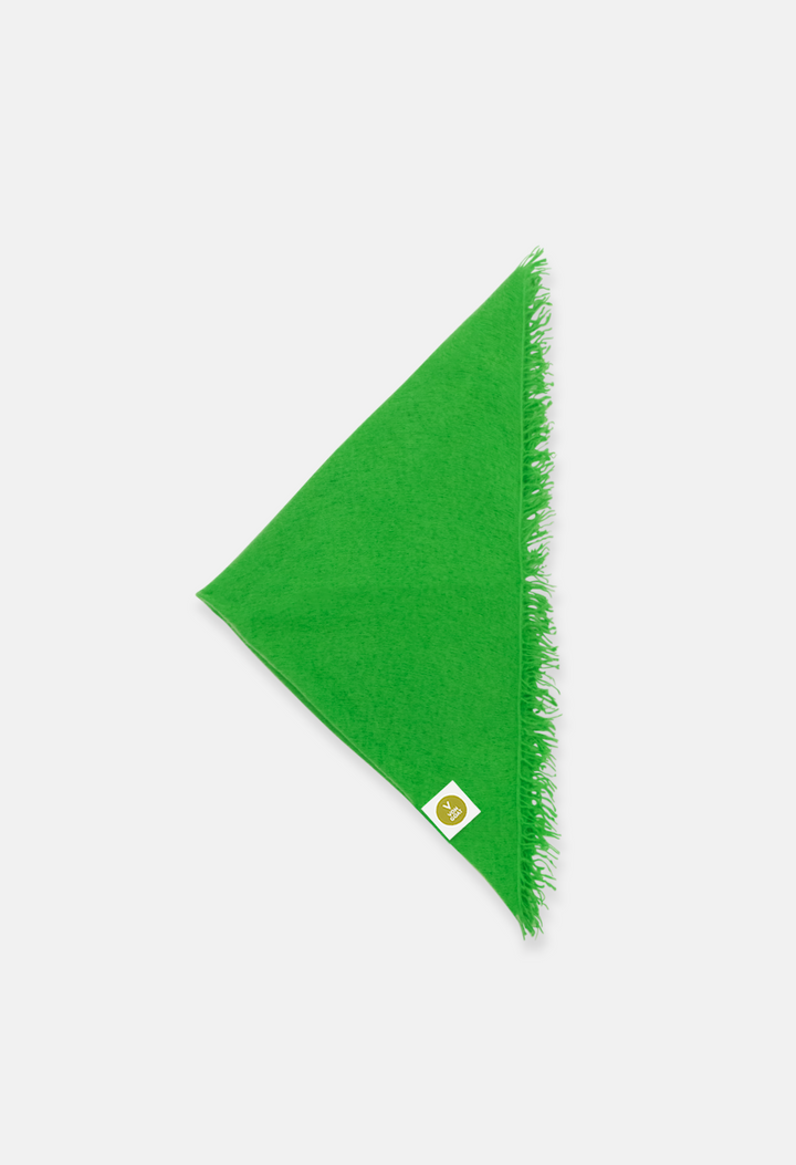 Bandana Neon Green with Fringe
