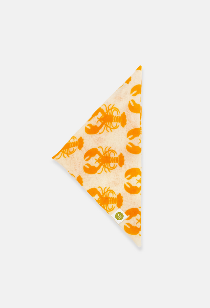 Bandana Lobster White/Carrot