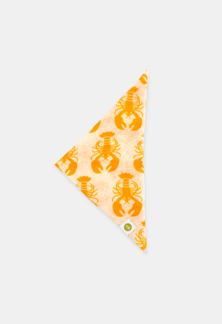 BANDANA LOBSTER WHITE/CARROT