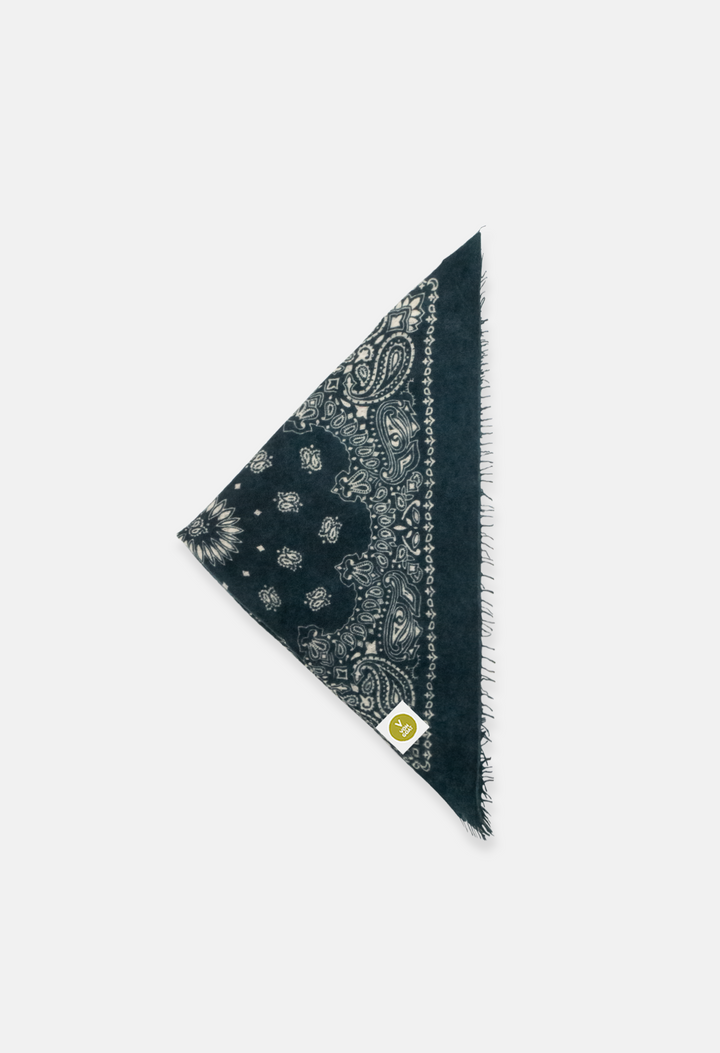 Paisley Bandana AAB with Fringe