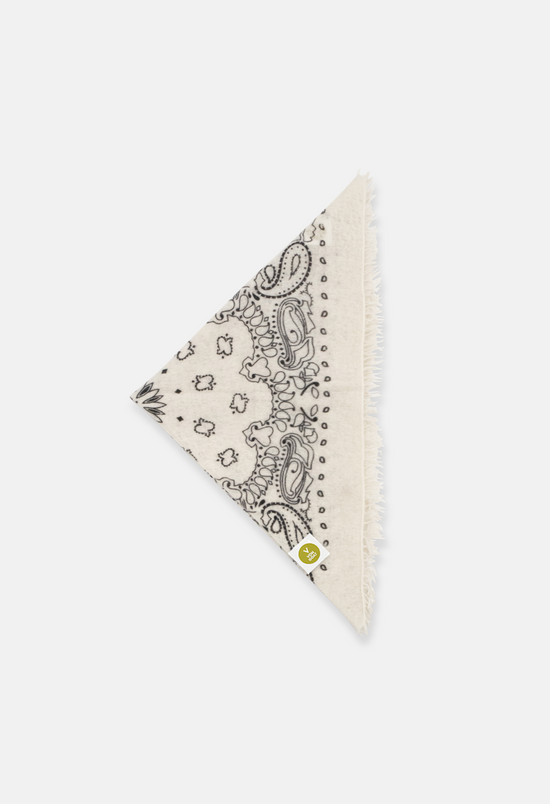 Paisley bandana AD with fringes