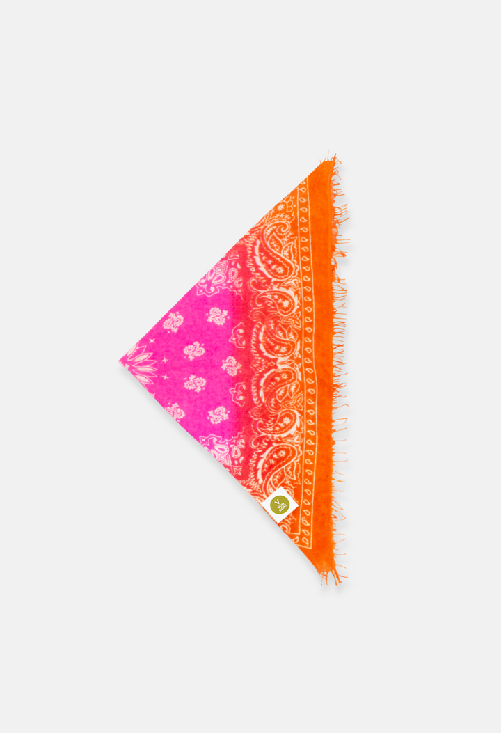 Bandana Paisley AI mit Fransen