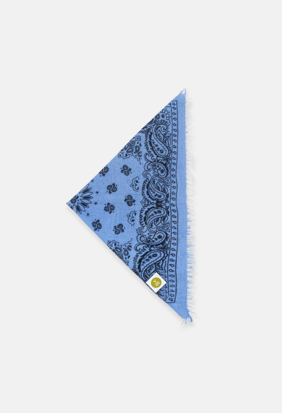 Paisley AJ bandana with fringes