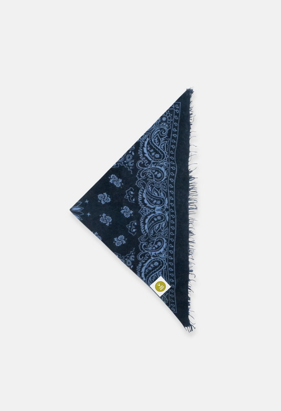 Bandana Paisley AL with fringe