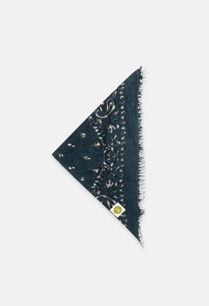 Bandana Paisley AP with fringes