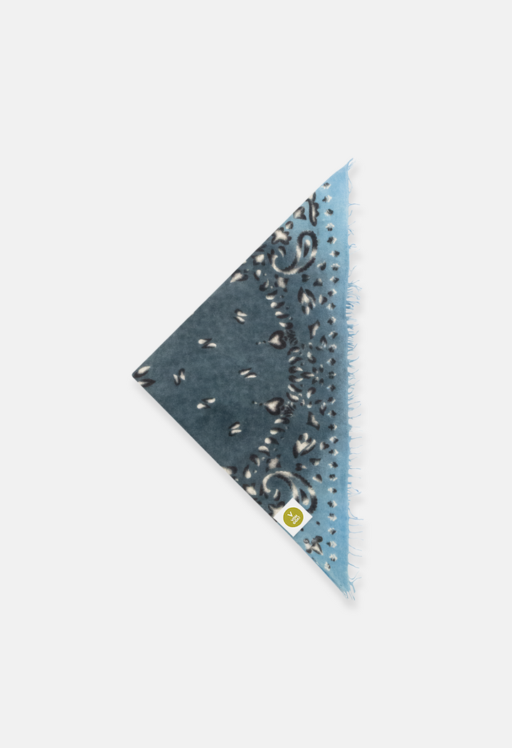 Paisley Bandana AR with Fringes