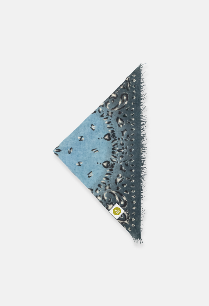 Bandana Paisley AS with fringes