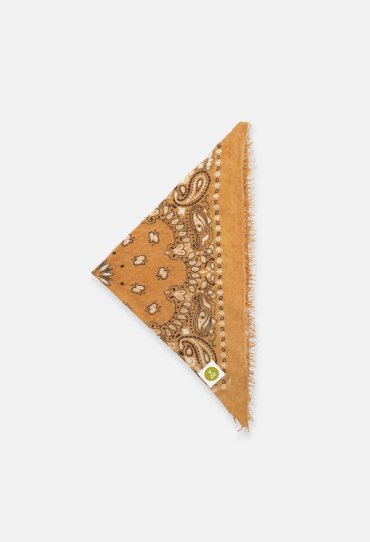 Bandana Paisley AX with fringes