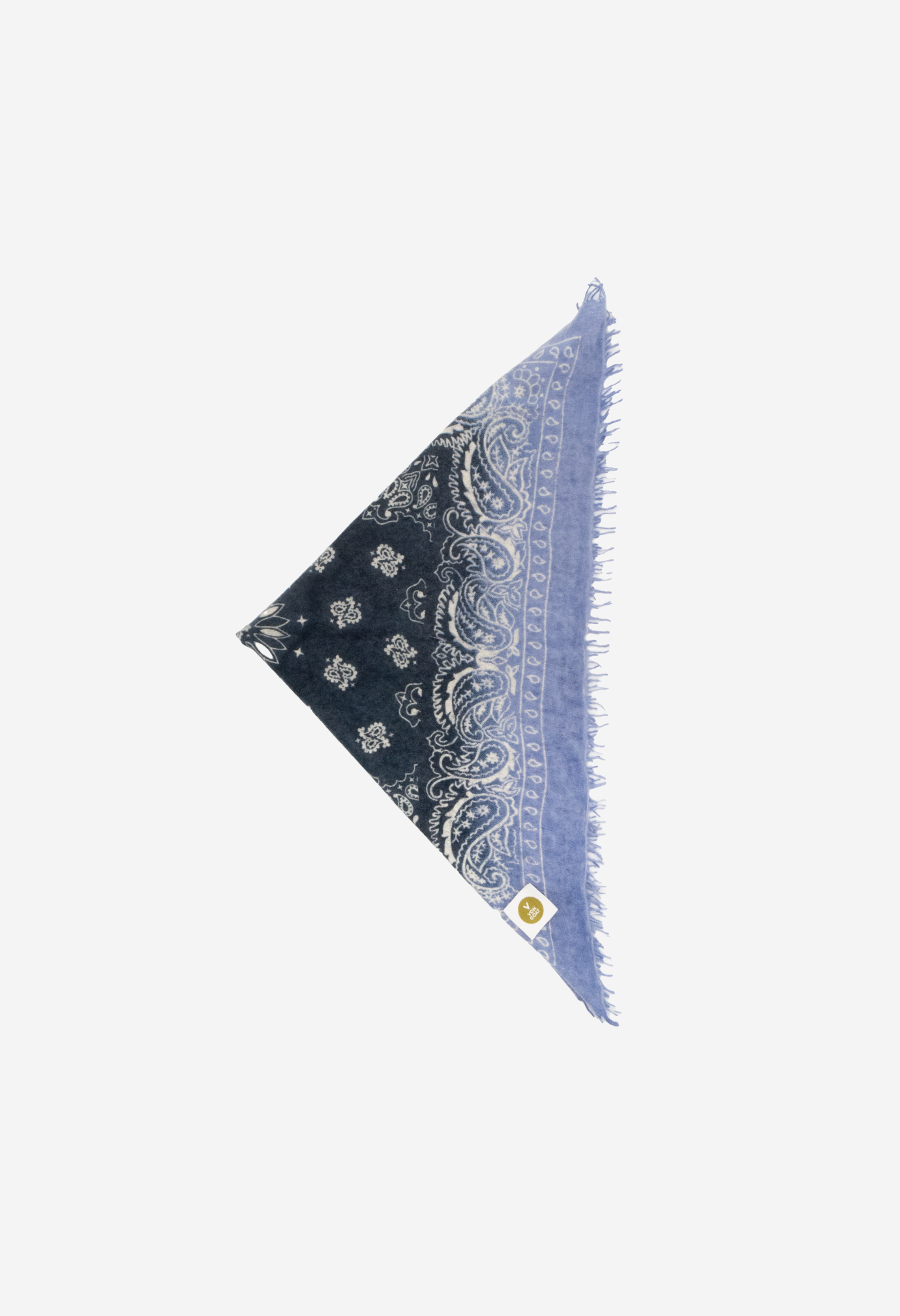 Bandana Paisley AZ with fringes