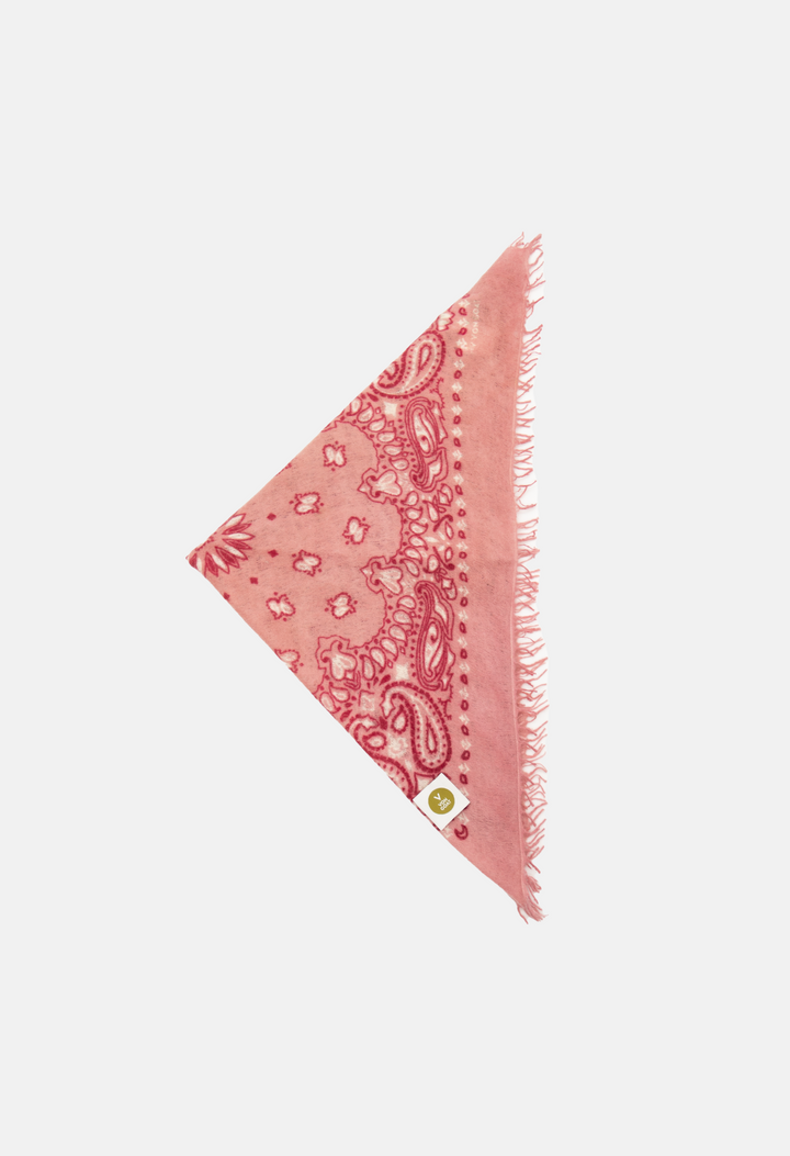 BANDANA CALVINA F