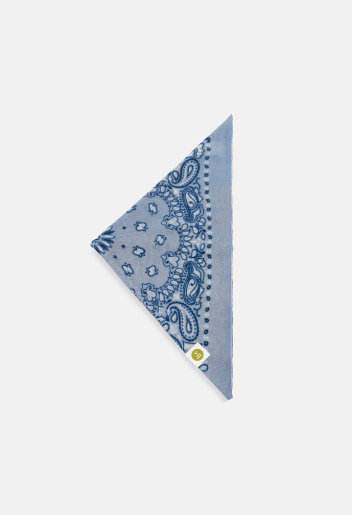 Bandana Paisley G
