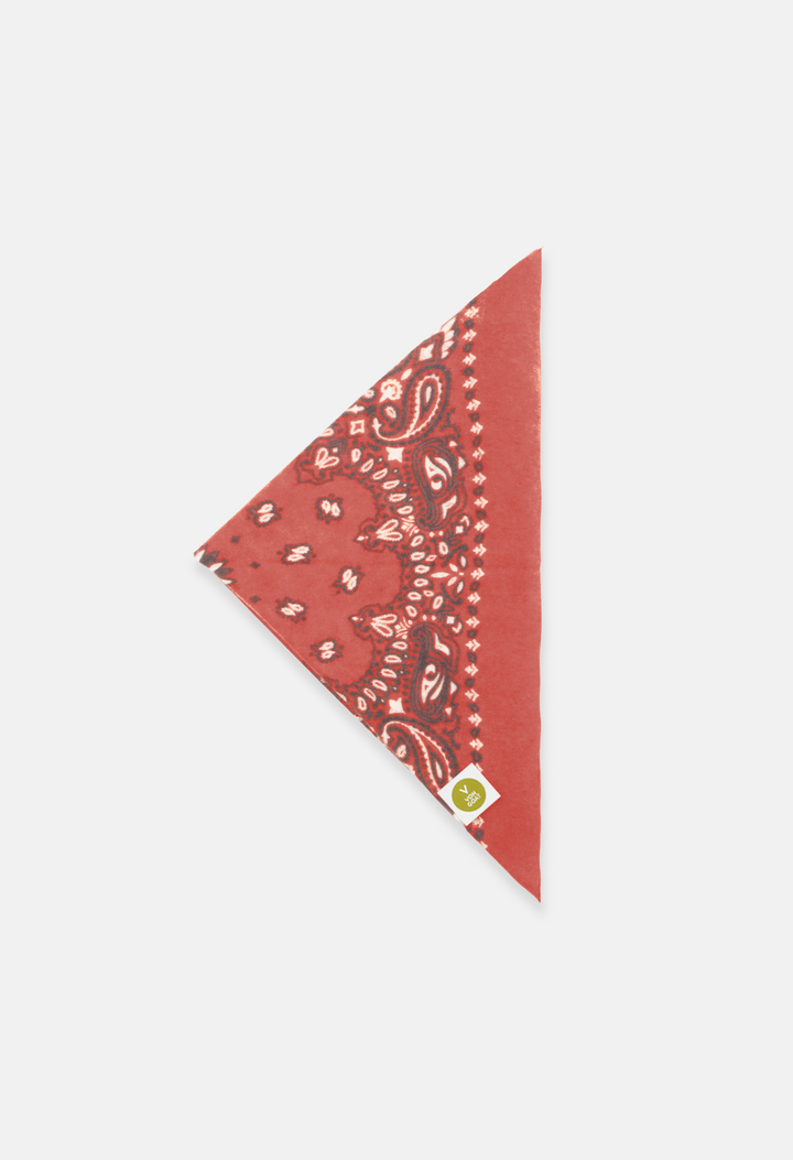 BANDANA CALVINA J