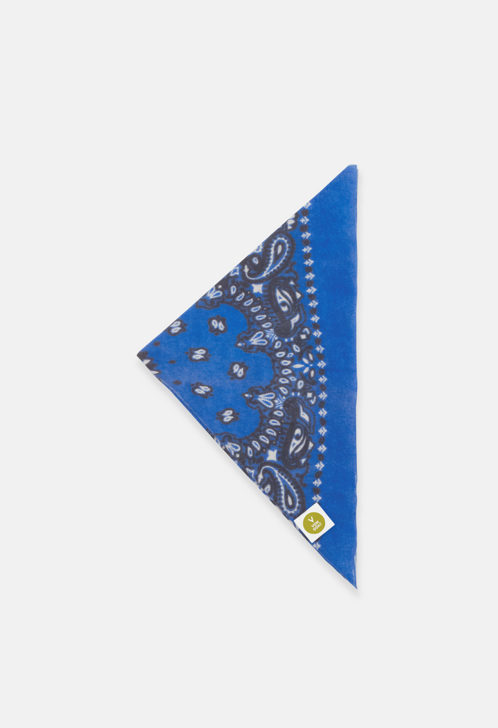 BANDANA CALVINA N
