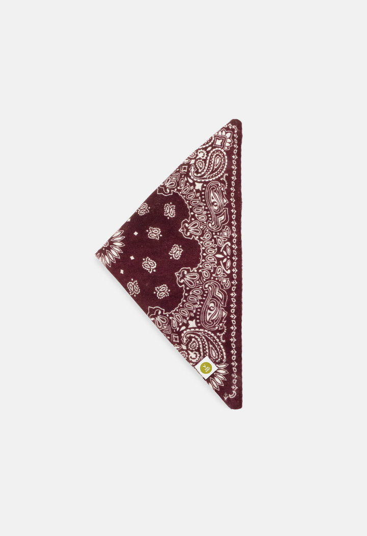 Bandana Paisley O