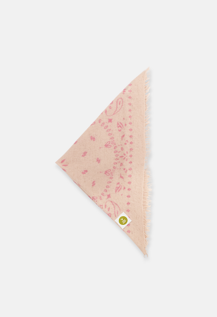Paisley Q Bandana with Fringes