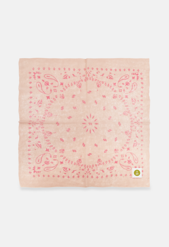 Bandana Paisley Q