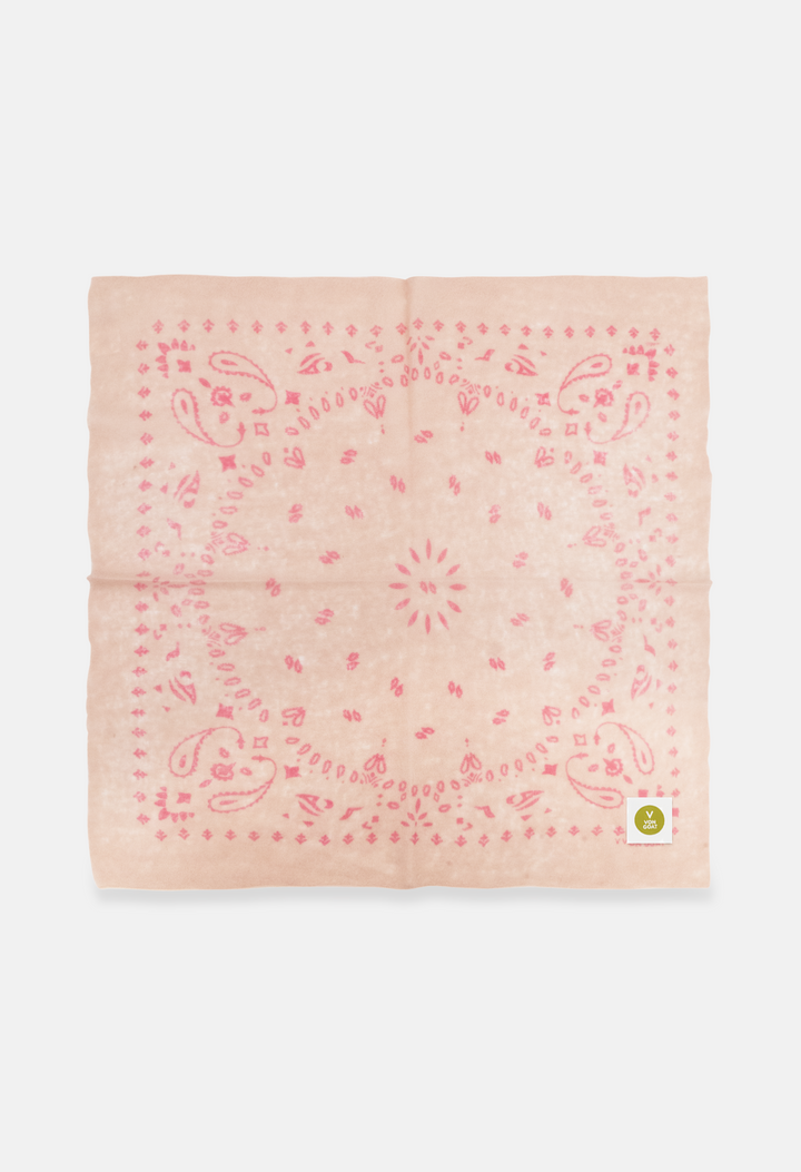 Bandana Paisley Q