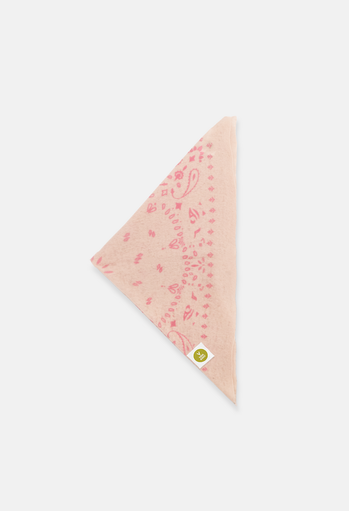 Bandana Paisley Q