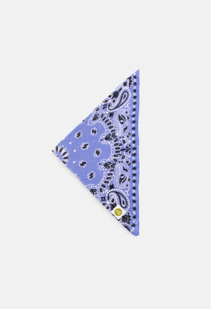 Bandana Paisley S