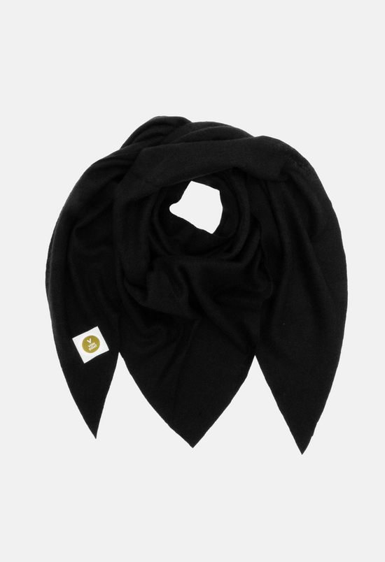 Poncho Schwarz
