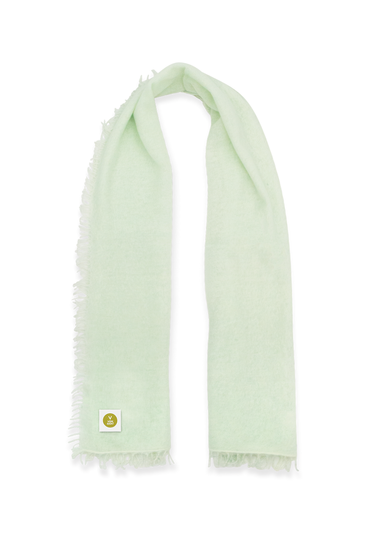 Scarf Shell Medium